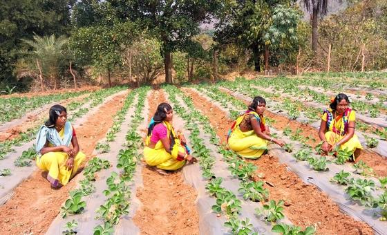 भारत: भूमि अधिकारों से आदिवासी जन के जीवन में ख़ुशहाली